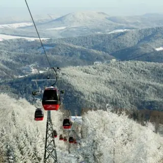 Jaworzyna Krynicka